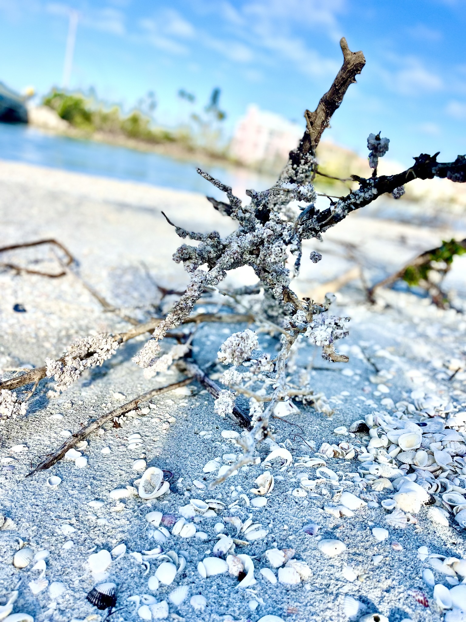 Sanibel Island